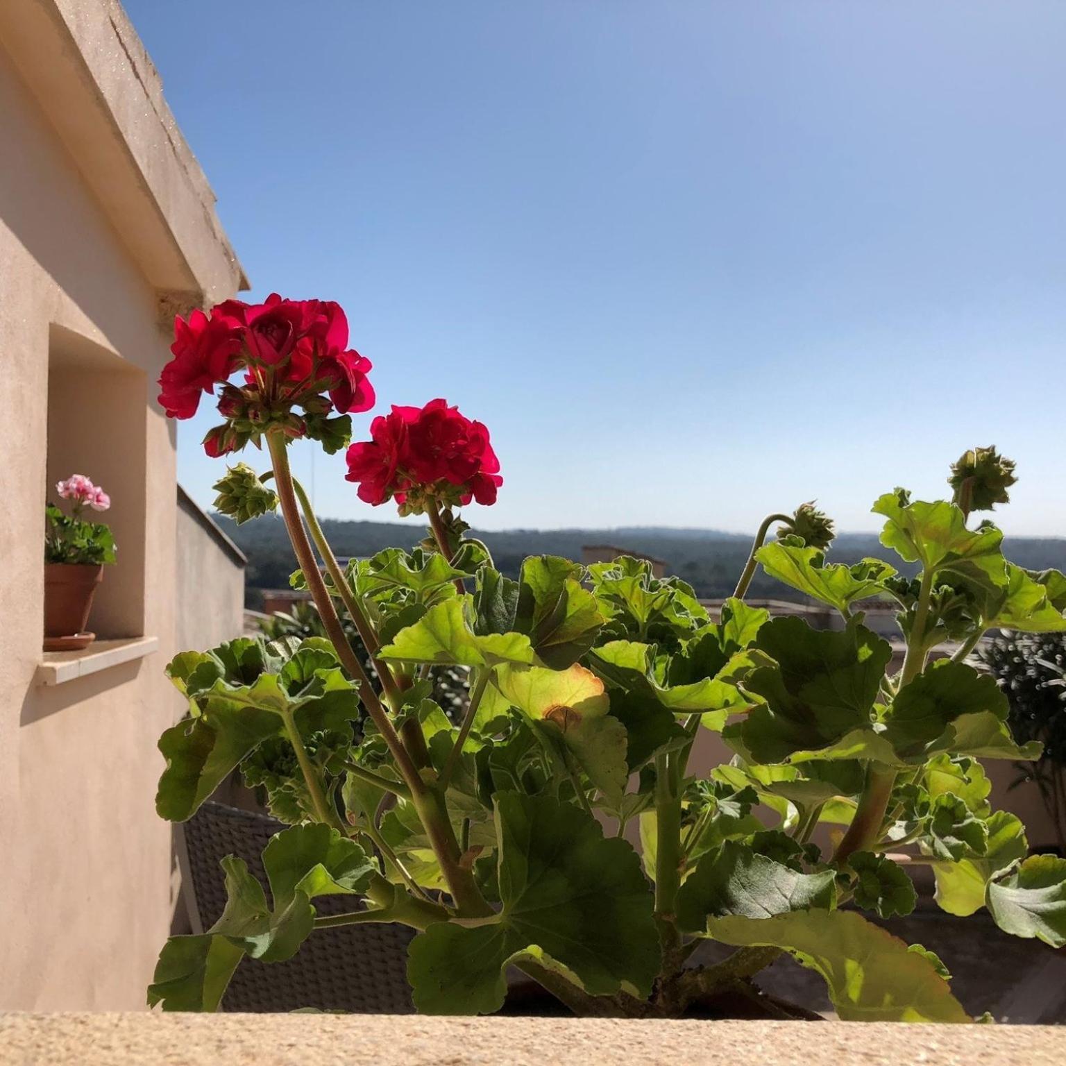 Vista De La Vila - Turismo De Interior. 柳维 客房 照片